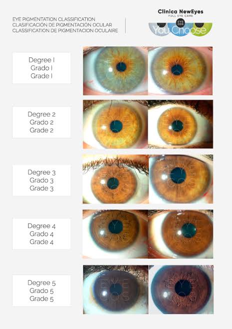 Images   2026 02 16T015058963