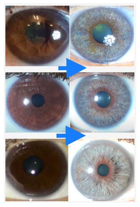 Images   2026 02 16T015051777