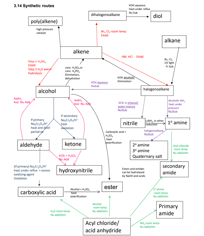 Synthetic Routes Cheatsheet | Looksmax.org - Men's Self-Improvement ...