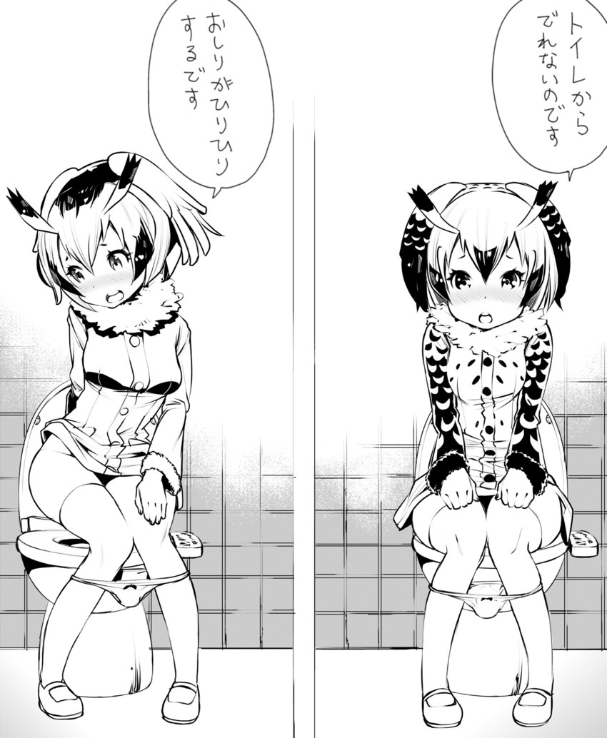   northern white faced owl and eurasian eagle owl kemono friends drawn by fukushima masayasu  