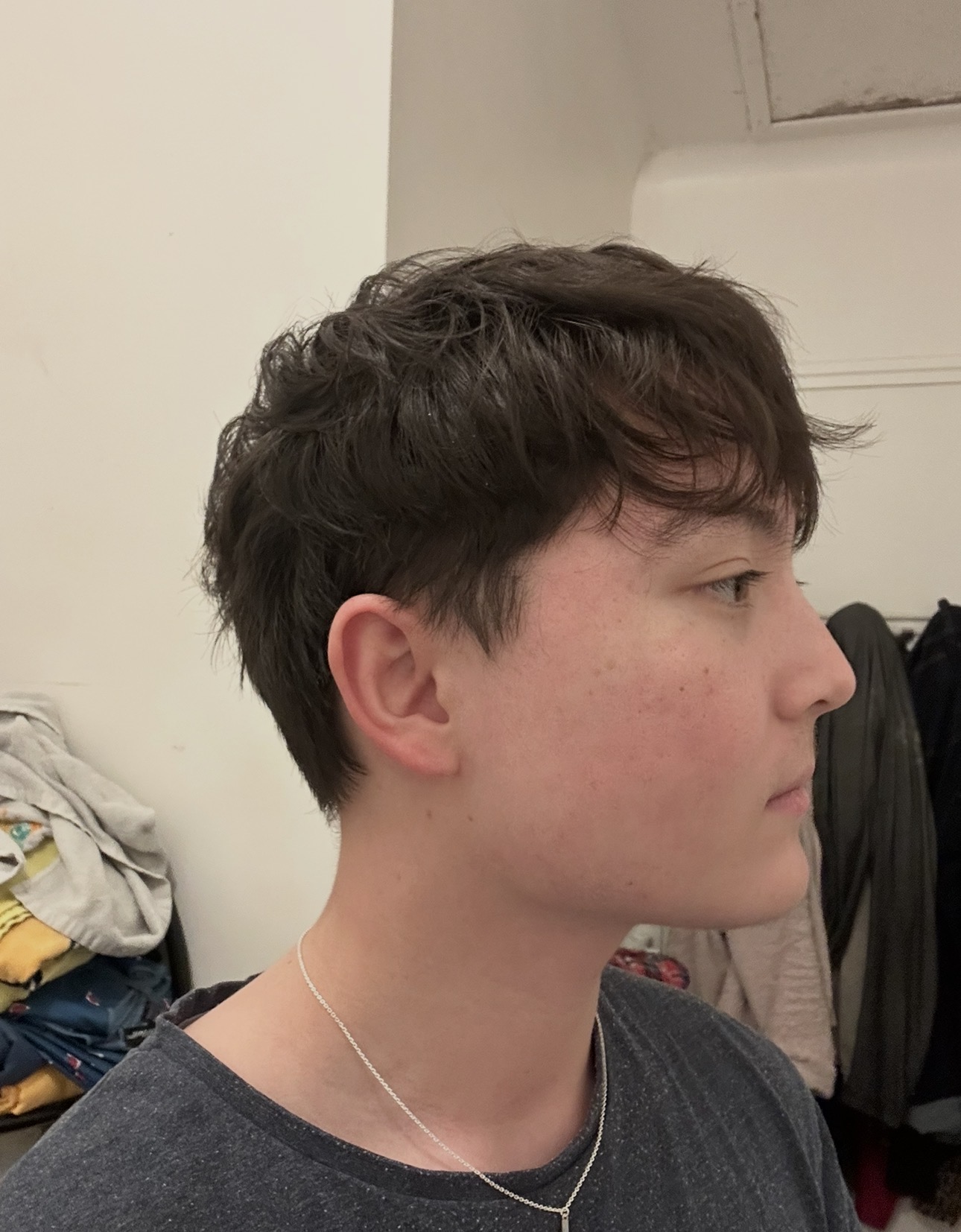 IMG 1462