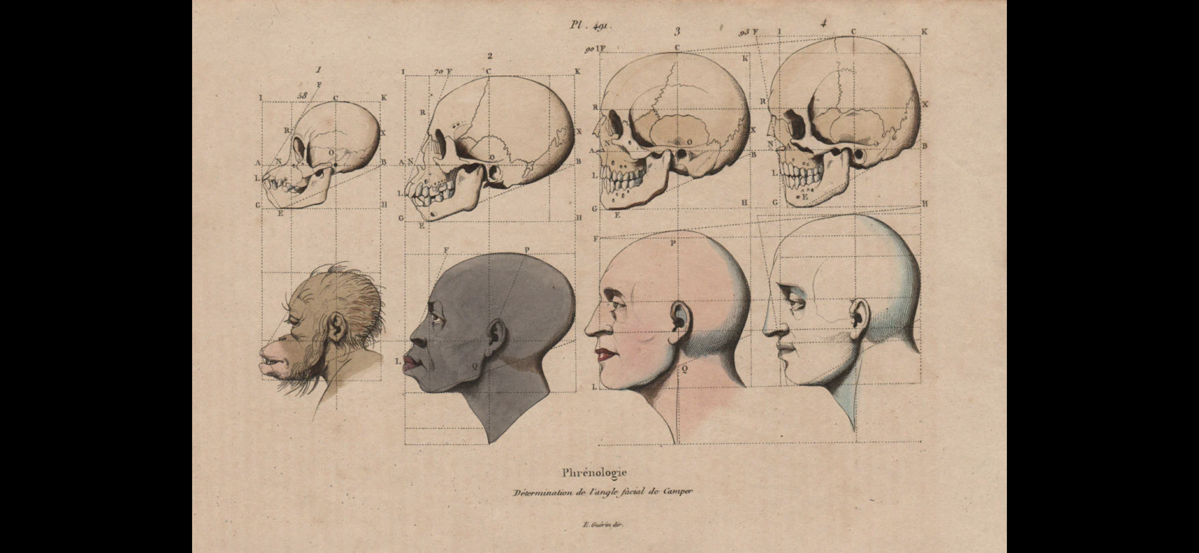 Screenshot 20260218 141227 Gallery