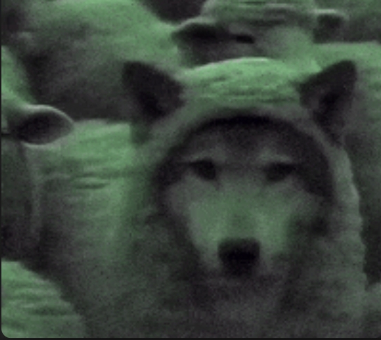 Screenshot 2026 02 18 18 51 22 653 comandroidchrome edit