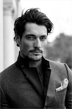 Gandy2