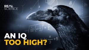 An iq too high Meme Tiktok ...