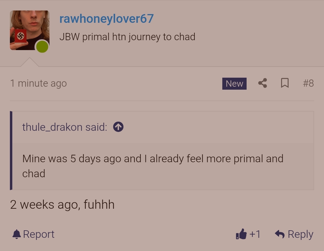 Screenshot 2026 02 19 03 41 24 826 comandroidchrome edit