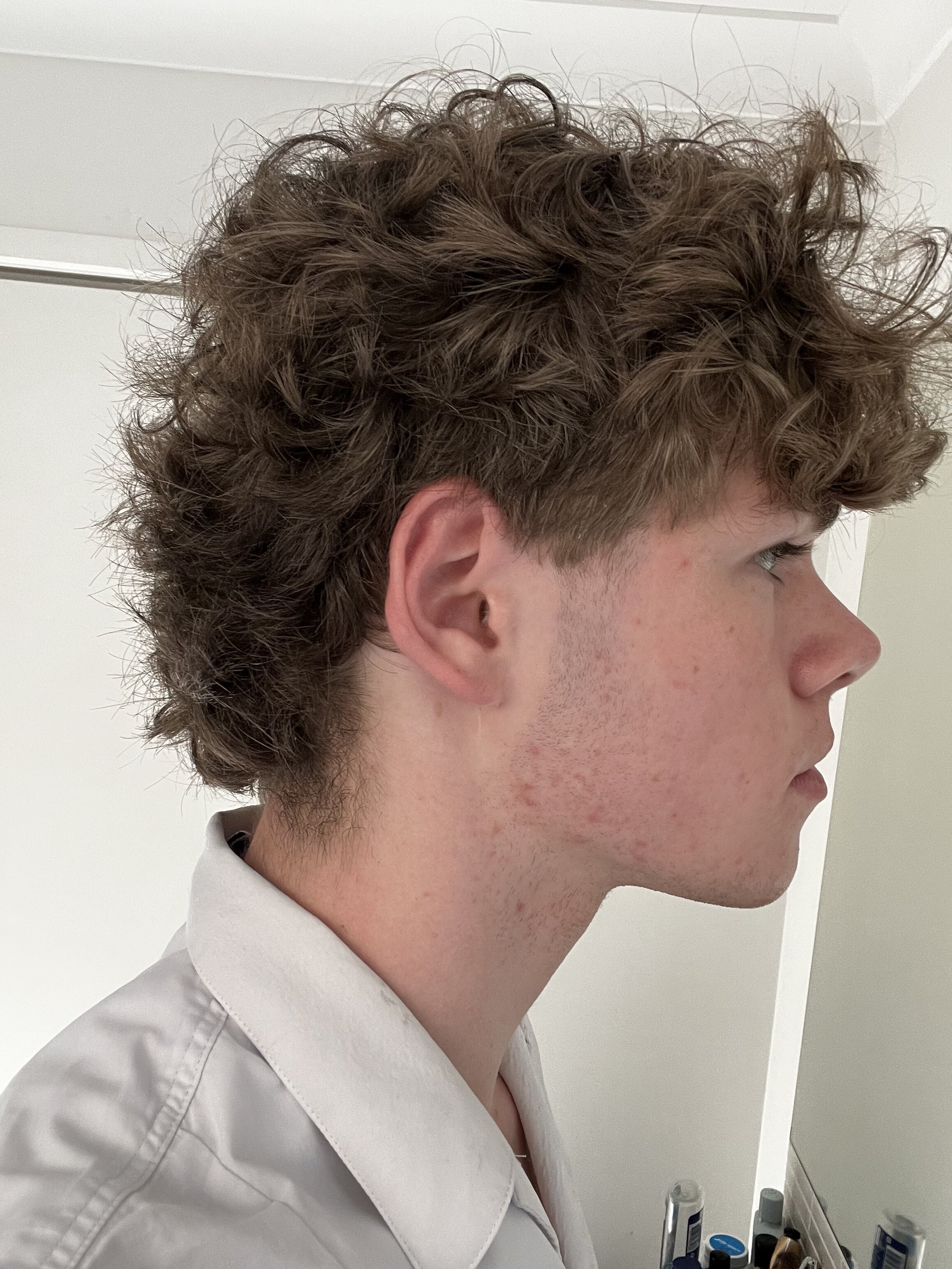 IMG 1388