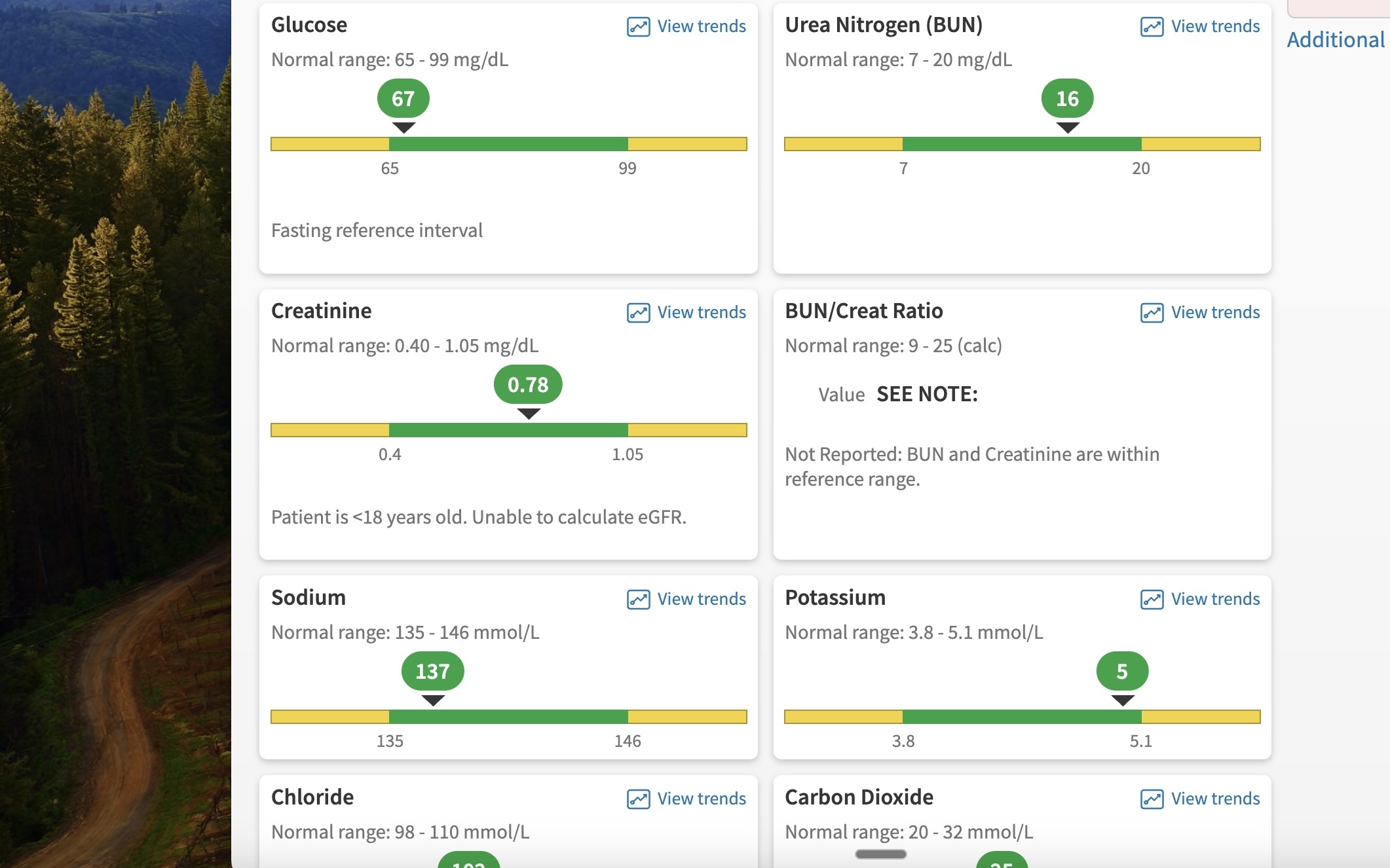 Image 2 19 26 at 1206PM