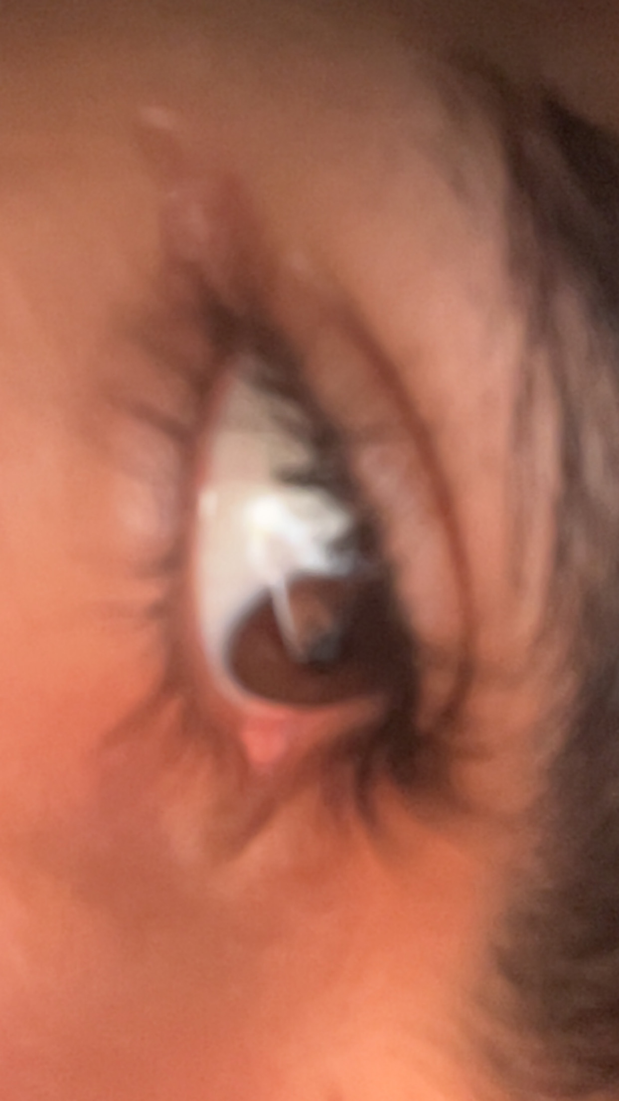 IMG 0345