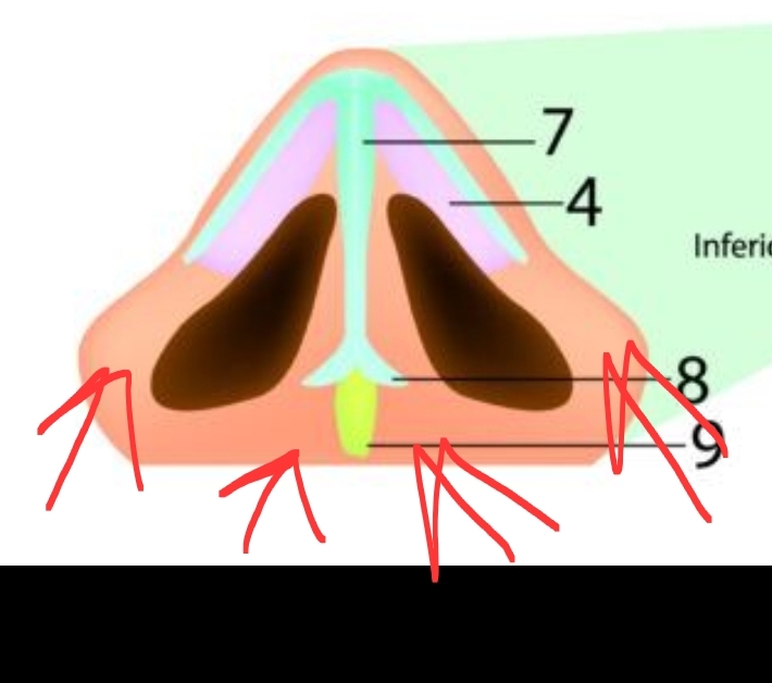 Screenshot 20260219 175320 Discord