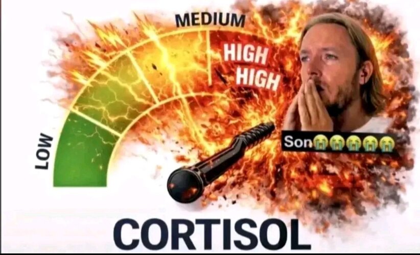 5746085 5740596 photo 6 2026 01 07 13 42 06