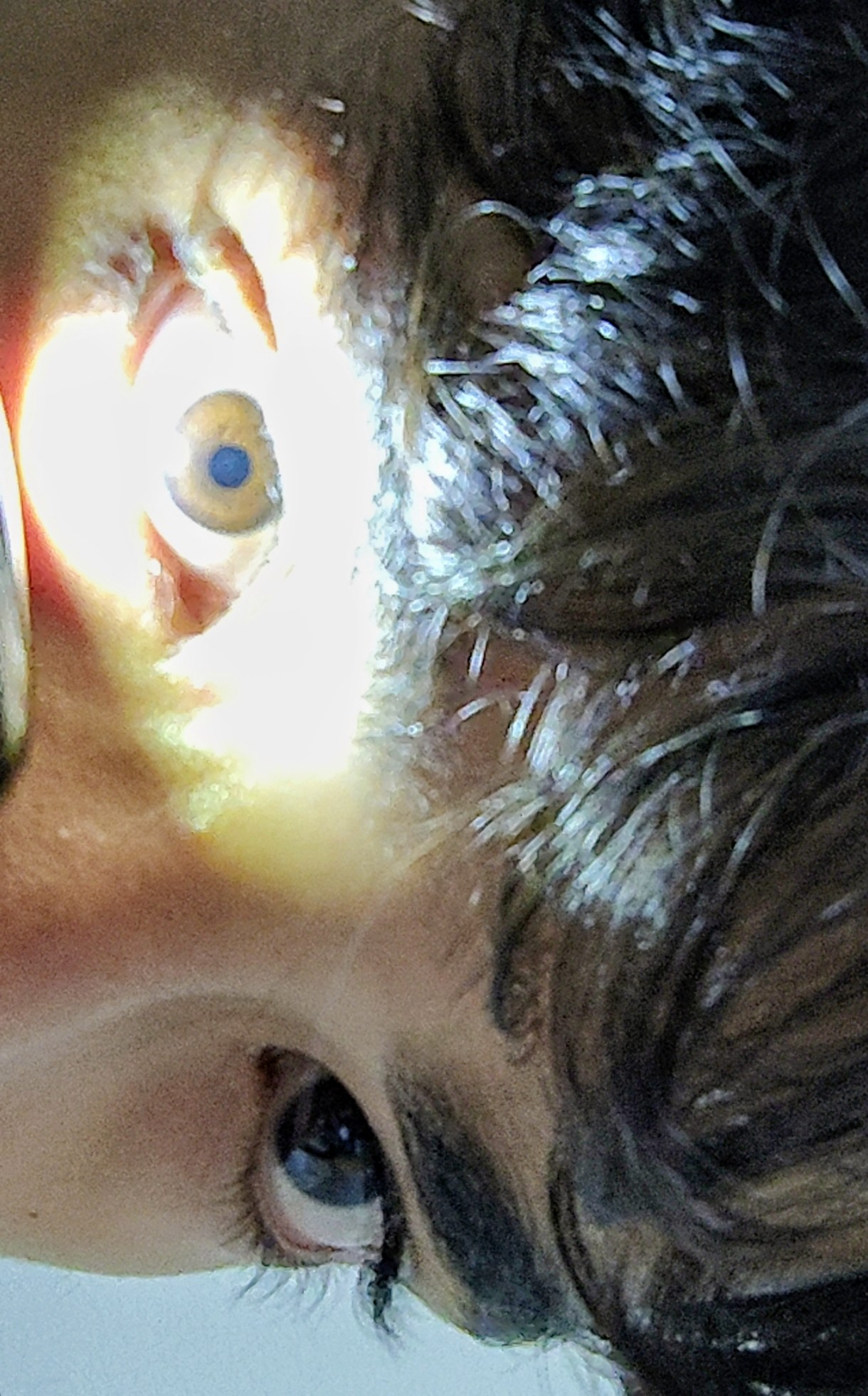 Screenshot 2026 02 20 14 00 06 310 comzhiliaoappmusically edit2