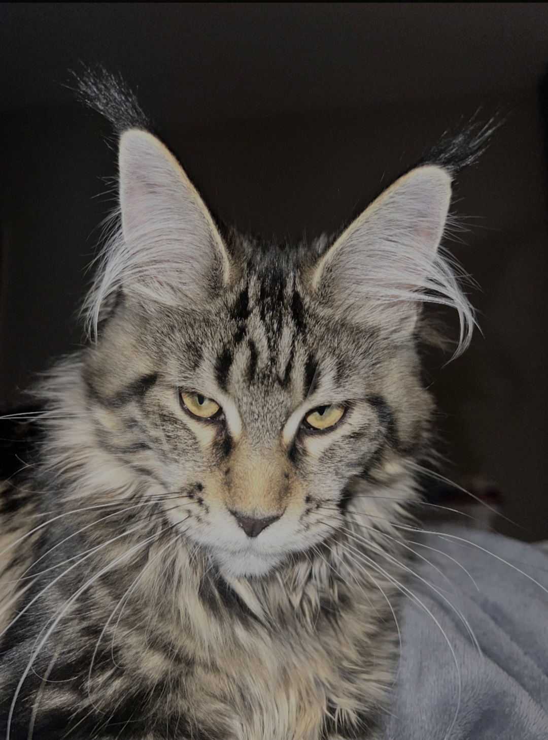 Screenshot 20260220 221111 Samsung Internet