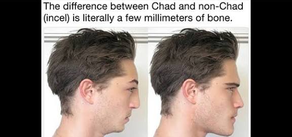 Images   2026 02 21T065615515