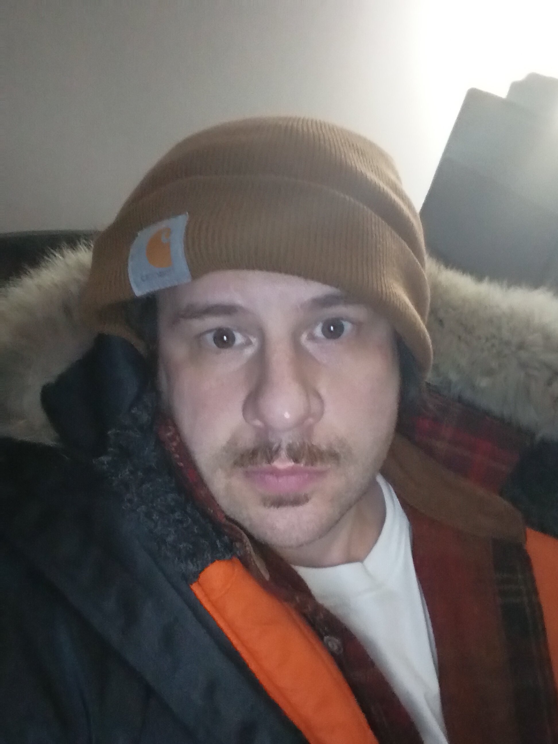 IMG 20260221 030224392