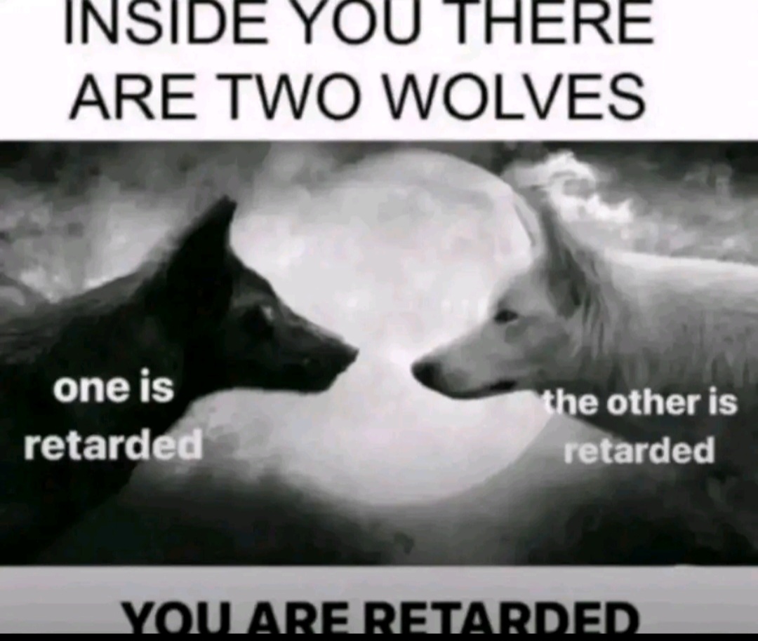 Screenshot 20260220 022349 TikTok