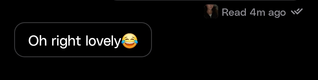 Screenshot 20260202 160020 Wizz