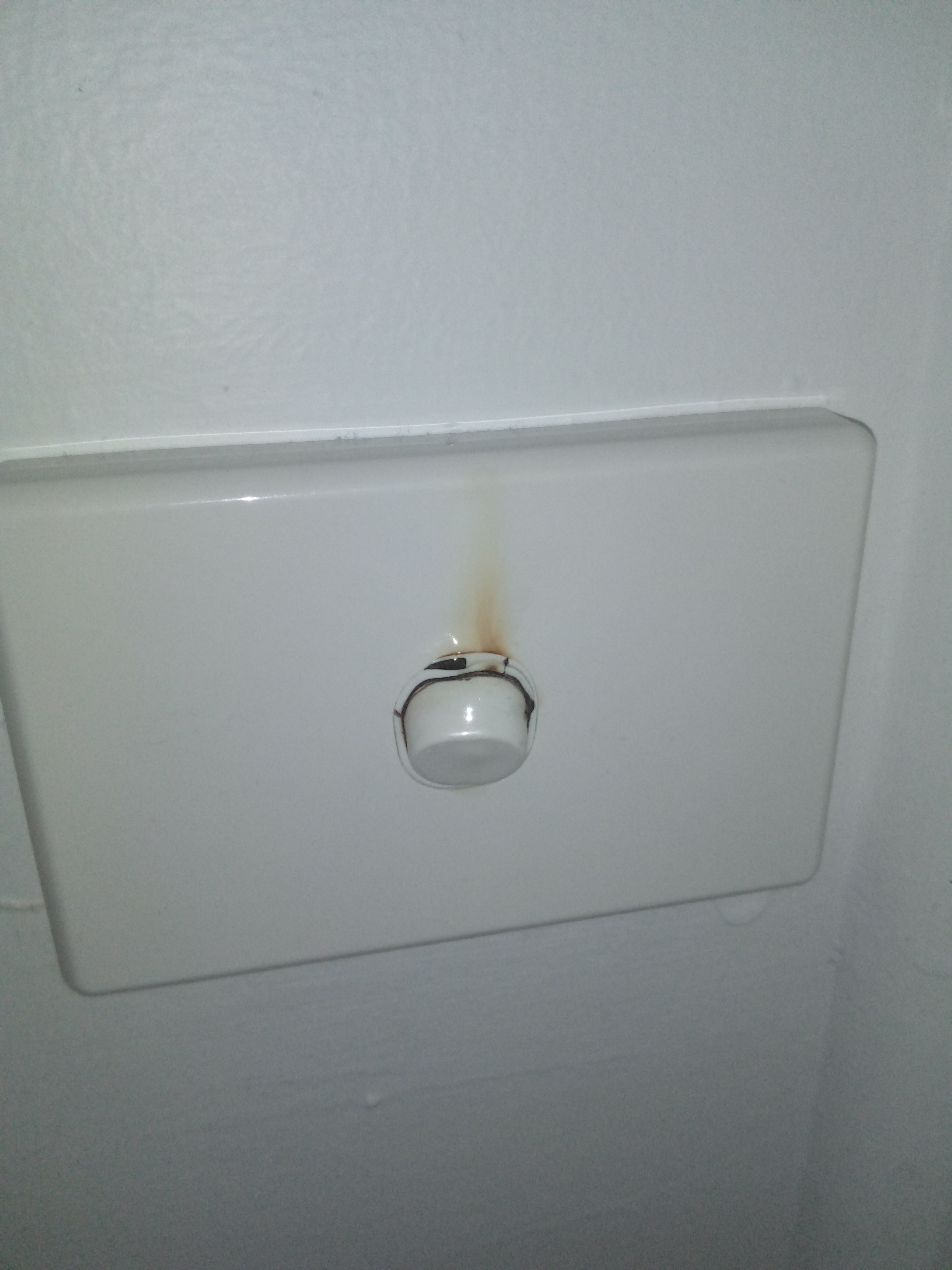 IMG 20260131 143207 874