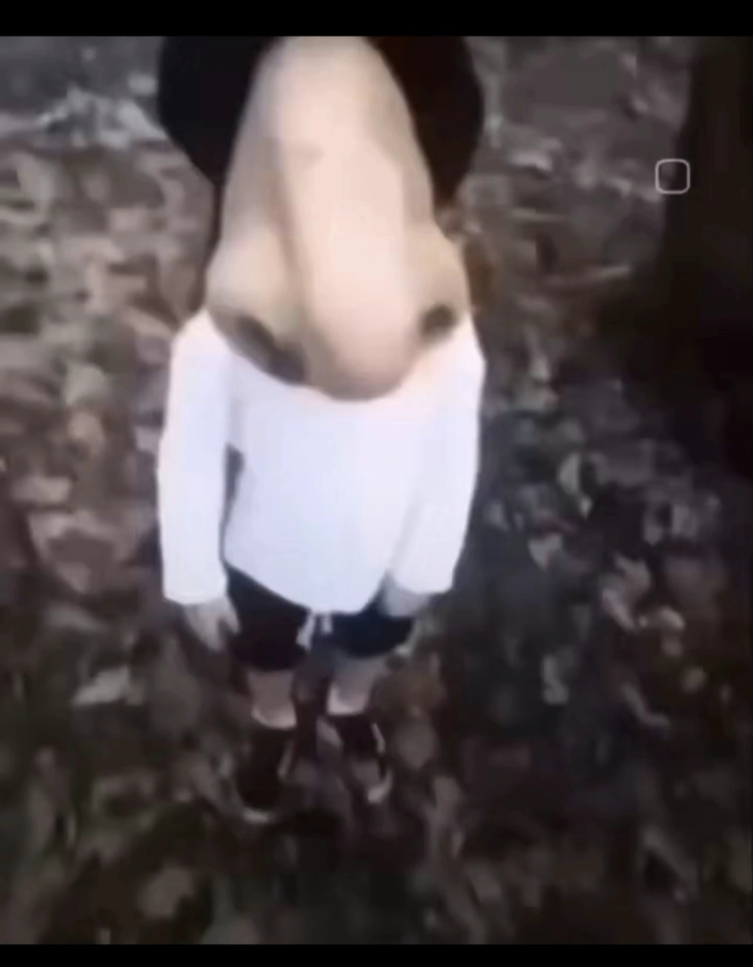 1000003412