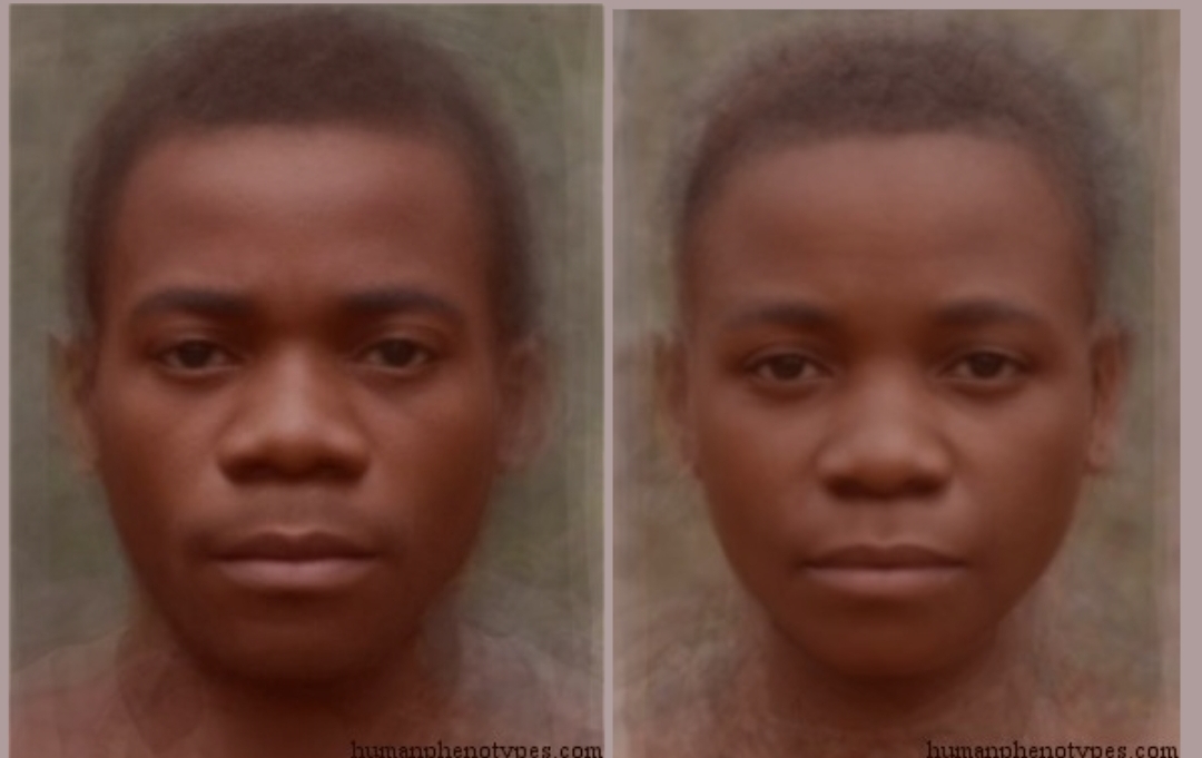 Screenshot 2026 02 20 15 29 23 356 comandroidchrome edit