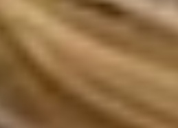 Screenshot 20260224 215433 Gallery