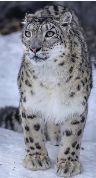 Screenshot 2026 02 25 020405