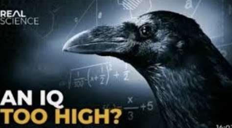 Screenshot 20260225 111352 Google