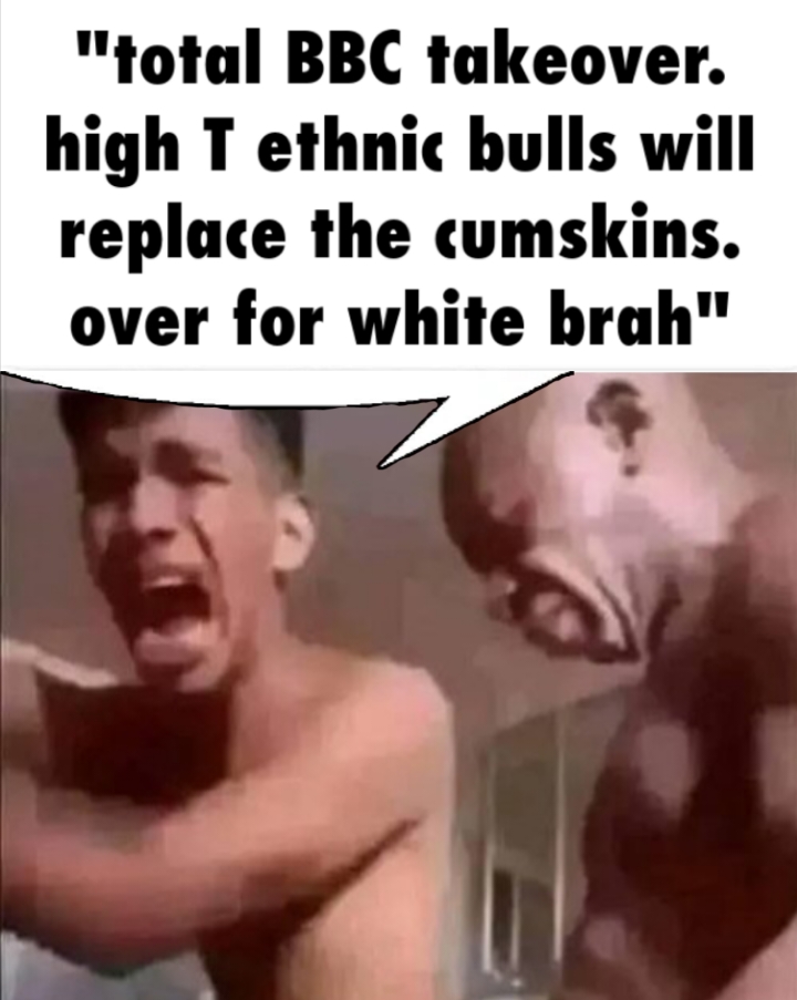 Polish 20260217 201728908