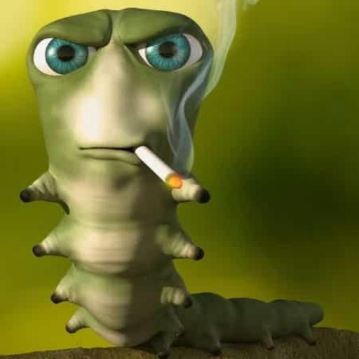 3d260ed7 9cac 4a61 9e44 45a1e0f45a21