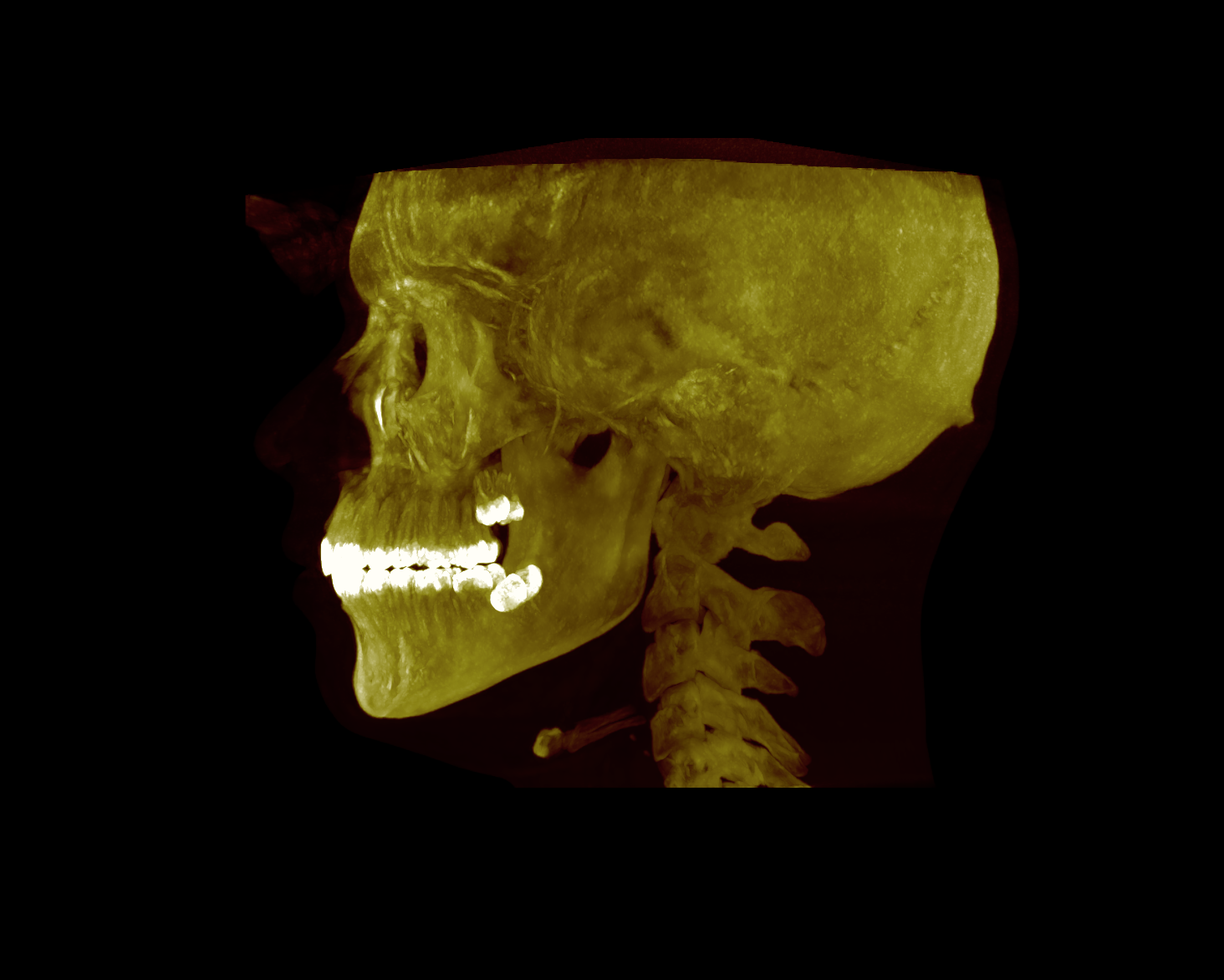 Screenshot 2026 02 25 at 124356AM