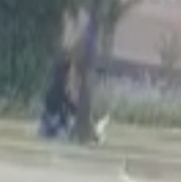 Screenshot 20260227 141536