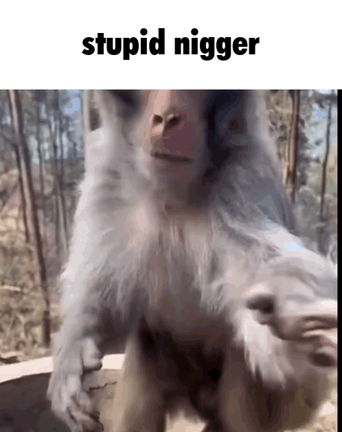 BleedIMGW6l2jALZZND9X