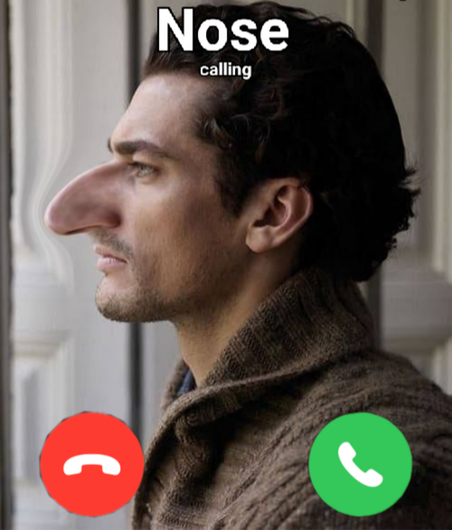 5930815 IMG 20260228 133206