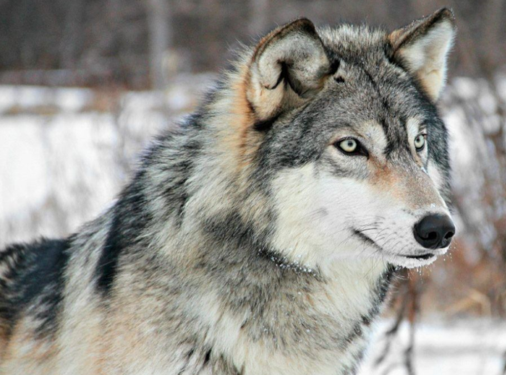 Screenshot 2026 02 28 221004