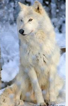 Screenshot 2026 02 28 221038