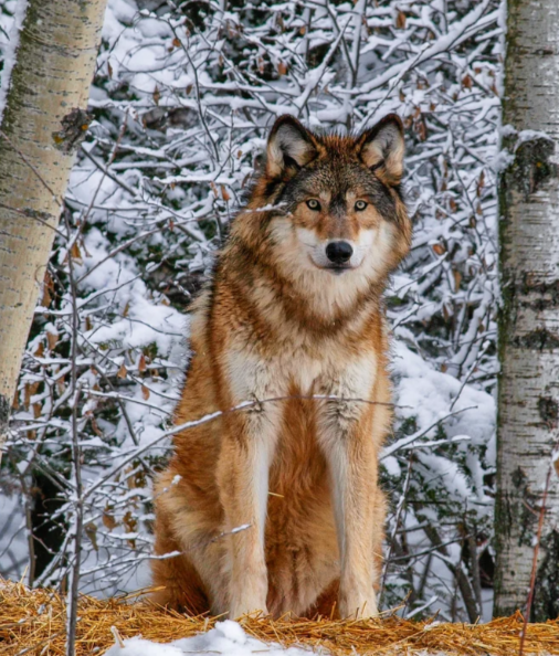 Screenshot 2026 02 28 221100