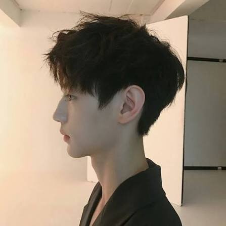 Images 9