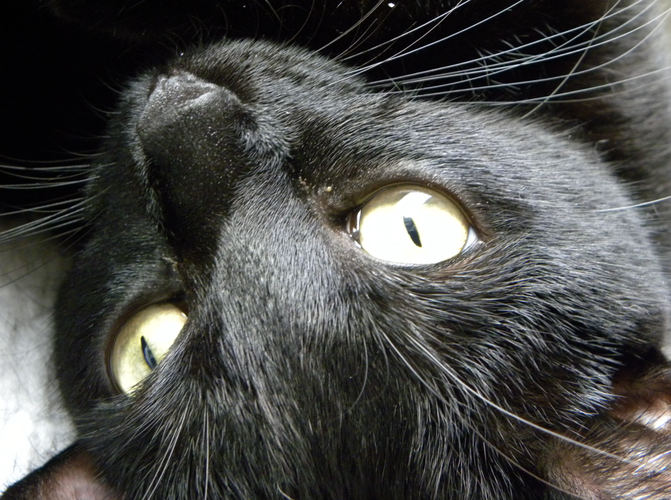 Screenshot 2026-02-02 201749.png