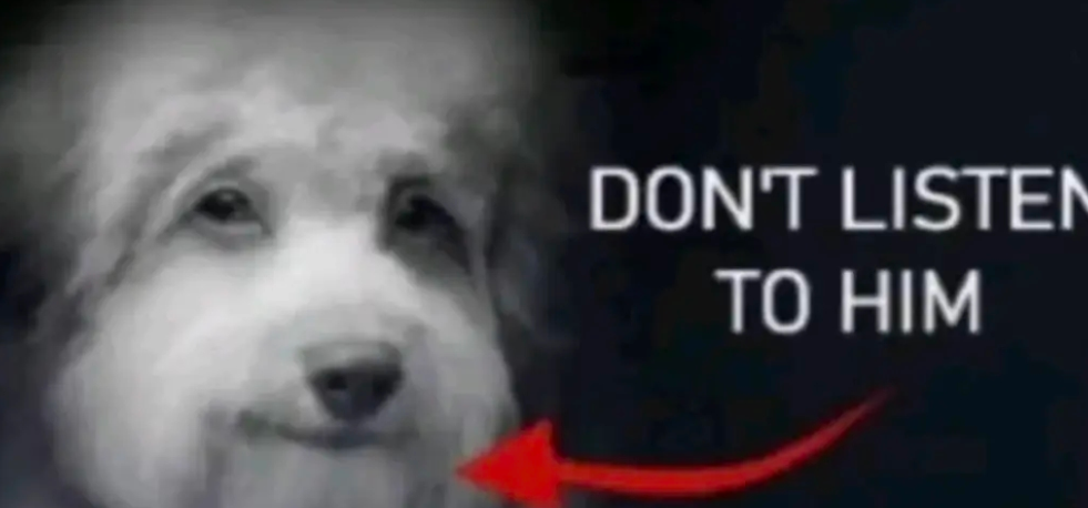 Screenshot 2026-01-01 175816.png