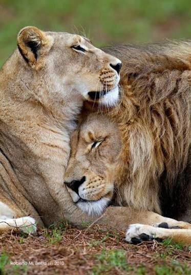 Images   2026 02 05T093248741