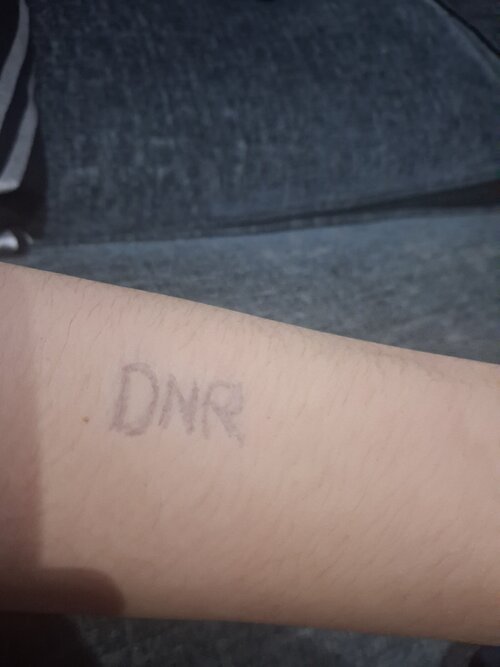 17704085764405250810085397665951