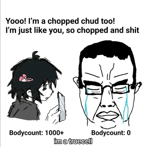 Screenshot 20260131 111203 TikTok