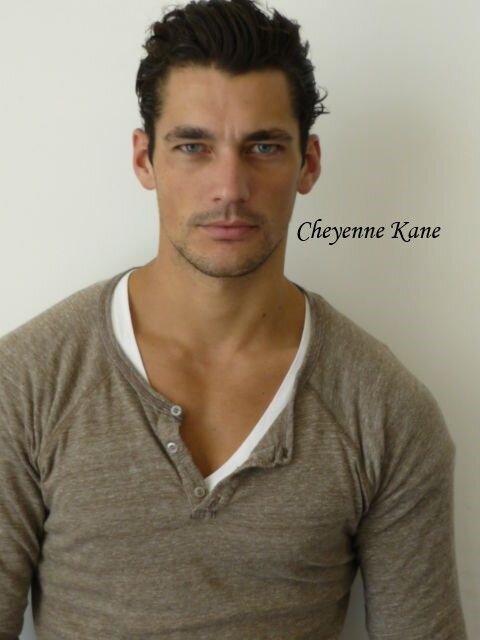  David J Gandy  Polaroids