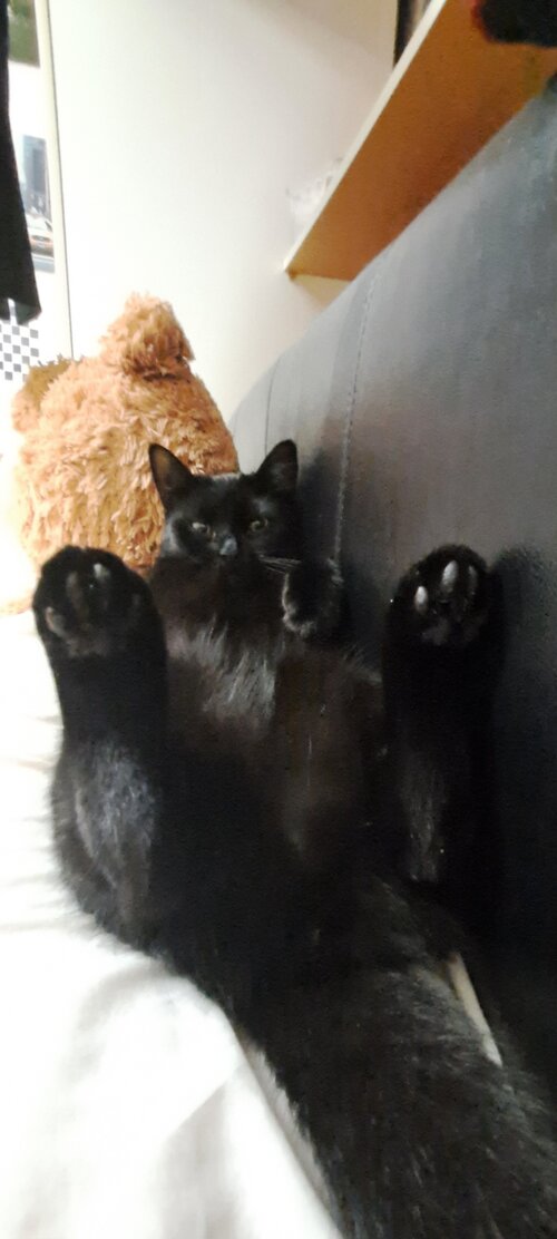 Screenshot 20260208 123419 Gallery