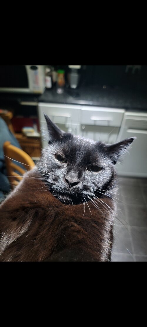 Screenshot 20260208 123239 Gallery