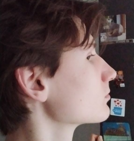 Snímek obrazovky 2026-02-09 165136.png