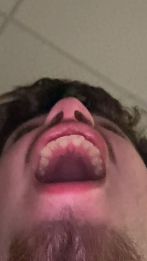IMG_8602.jpeg