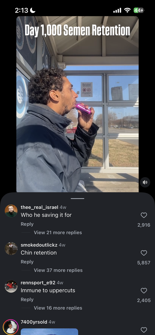IMG_4304.PNG
