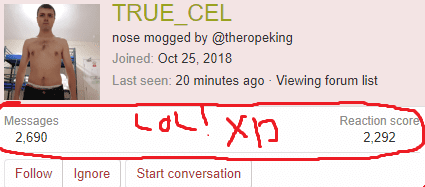 1454006 1557548907732