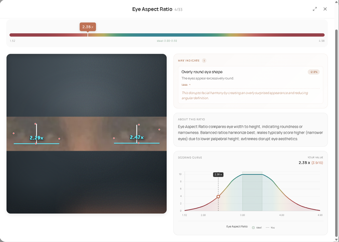 Screenshot 2026-02-12 034209.png